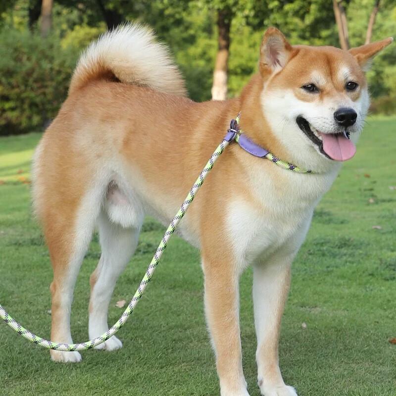 Pet Leash with Safety Buckle