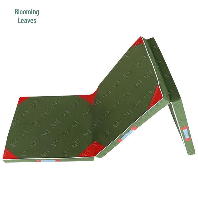 Foldable Gymnastics & Exercise Mat 200x150x10cm