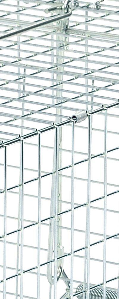 Sakae Hills Trap D Type 202 for Weasels by Sakae Industries No. IT-2, (Male), Silver,