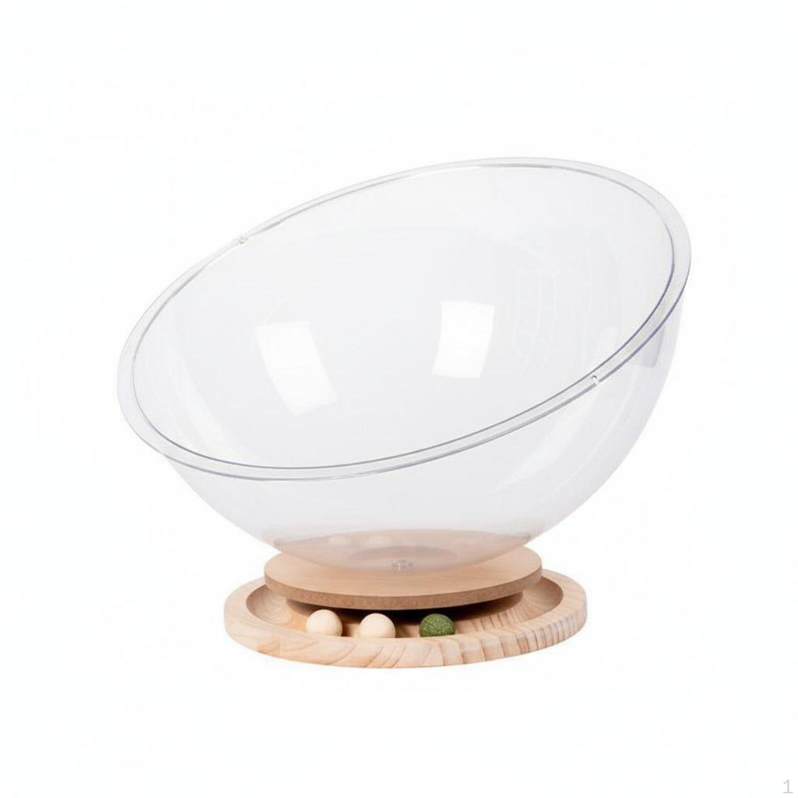 Space Capsule Feline Bed Builtembedded Track System Pathball Toy Transparent Do and Me