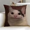 Classic Theme Pet Cat Cushion Cover Soft & Easy-Wash Pillow Case – Versatile For Couch, Bed, Travel And Office