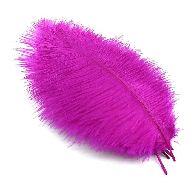 10Pcs Ostrich Feathers Decorative Vase Pluma Wedding Table Centerpieces Carnival Accessories DIY Creative Leisure Craft Supplies