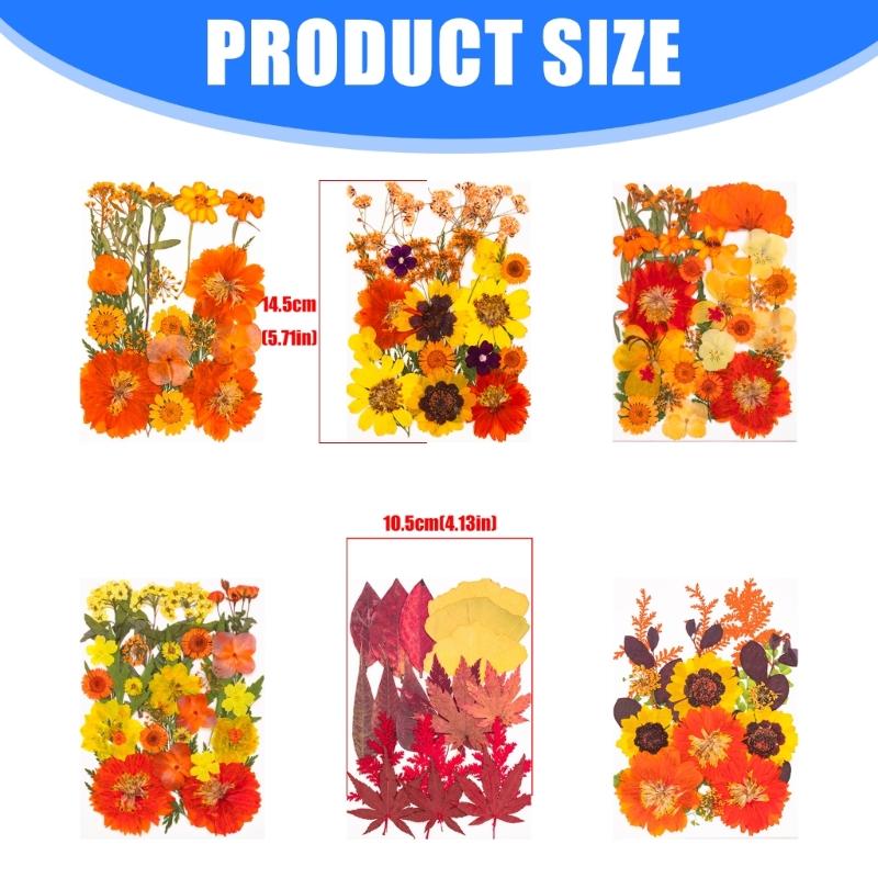 Natural Dried Flower For Epoxy Resin Molds Dry Flowers and Leaves Set for Art Craft Candle Jewelry Making Scrapbooking