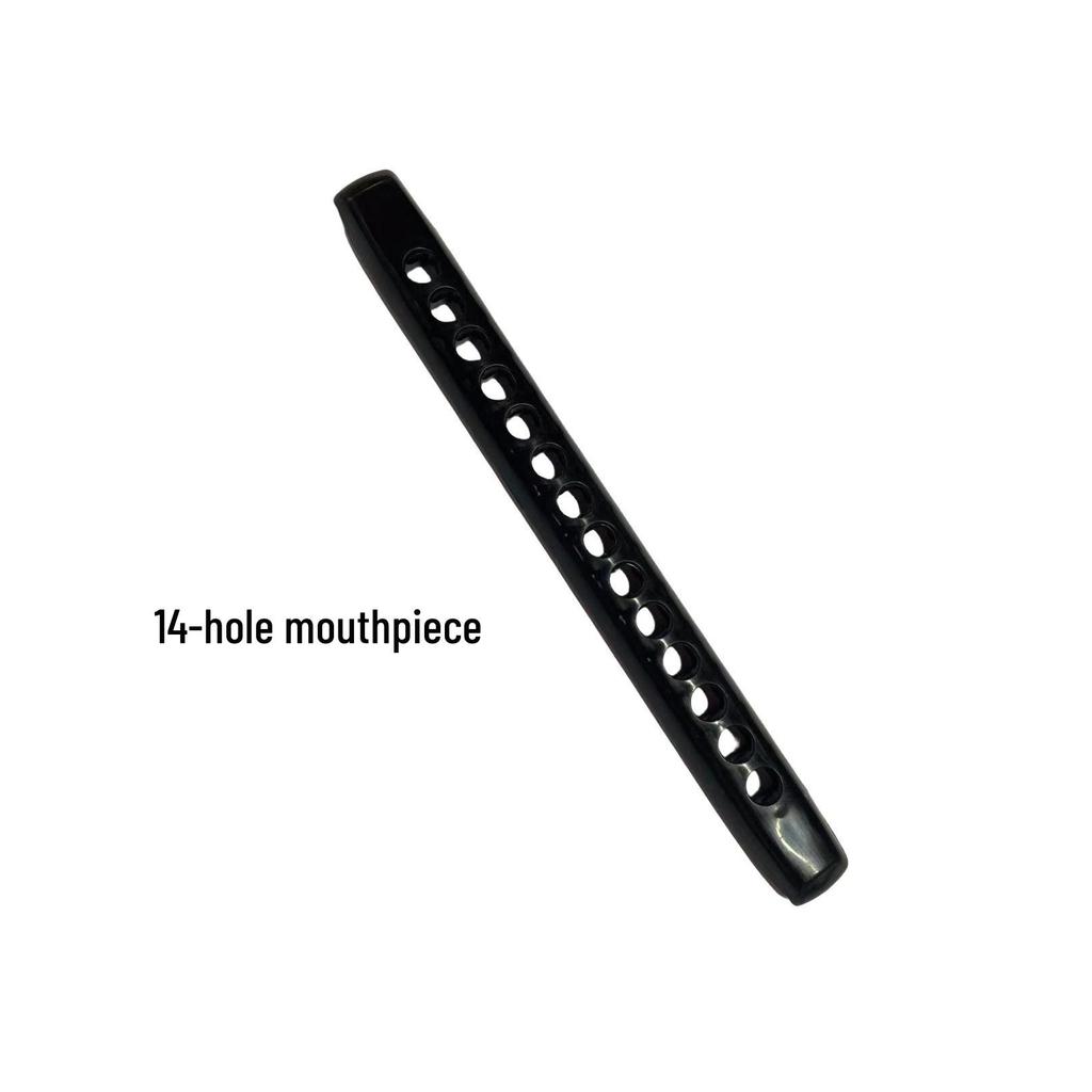 Beginner Chromatic Harmonica with Detachable Round Mouthpiece, 12 or 14-Hole C Major