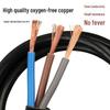 High-Power 10A Three-Pin Power Cord with Plug and Bare End, 2.5mm² Thickness