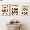 Antiker Schmetterling Vintage Poster Drucke Insektenart Naturerziehung Wandkunst Leinwandwandmalerei Bild Kinderzimmer Heimdekor