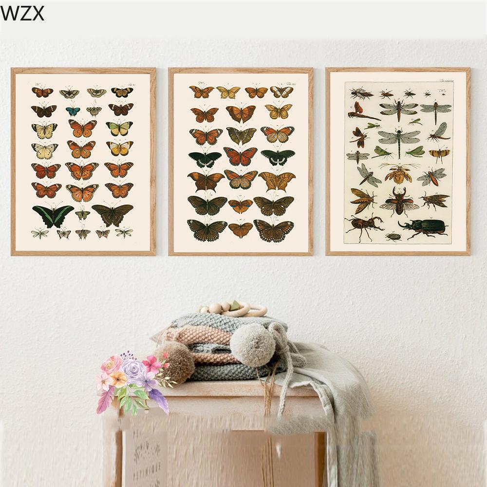 Antiker Schmetterling Vintage Poster Drucke Insektenart Naturerziehung Wandkunst Leinwandwandmalerei Bild Kinderzimmer Heimdekor