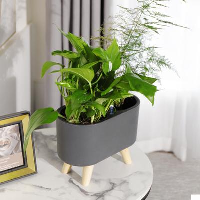 Detachable Flowerpot with Water Level Indicator Plastic Smooth Surface Plant Holder Patio Decor