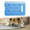 Ice Block Cool Pack Leakproof Compact Reusable for Travel Camping Beach Outdoor Activities