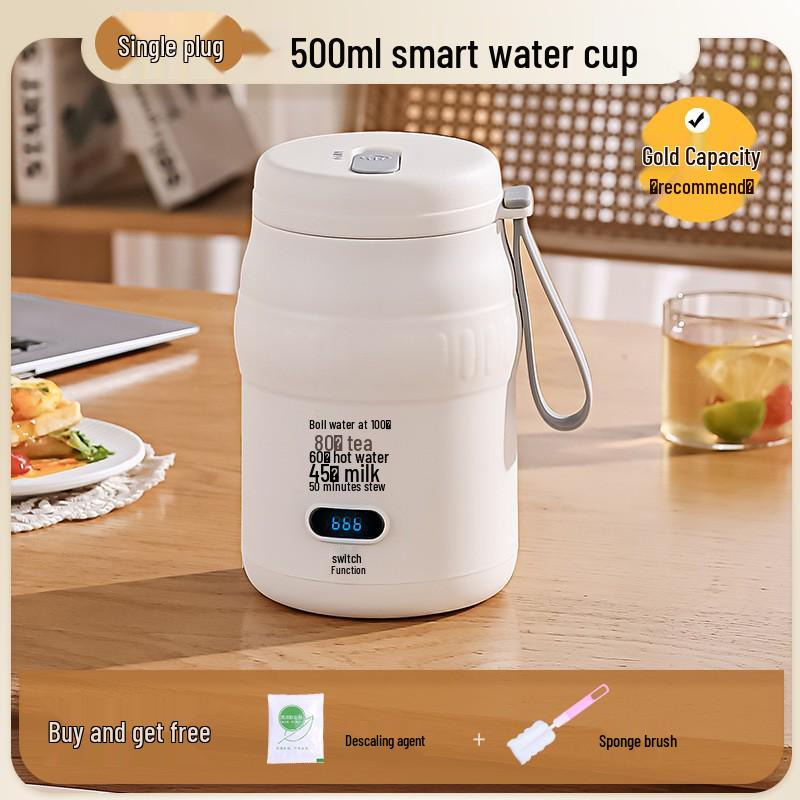 

Compact Electric Kettle with Constant Temperature Control and Insulated Design