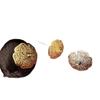 Yunnan Xishuangbanna Dai Thai-Stil Haarnadeln: Studio Foto Reise Kopfschmuck