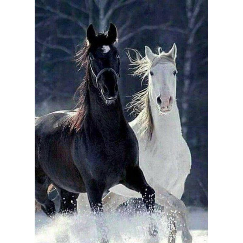 DIY Horse 5D Diamond Painting Full Round Drill Resin Animal Diamont Embroidery Cross Stitch Kits Home Decor Wall Art Gift