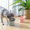 Raised Cats Bowls Small Dog 45° Tilted Dish with Stand Feeders for Dog Cats