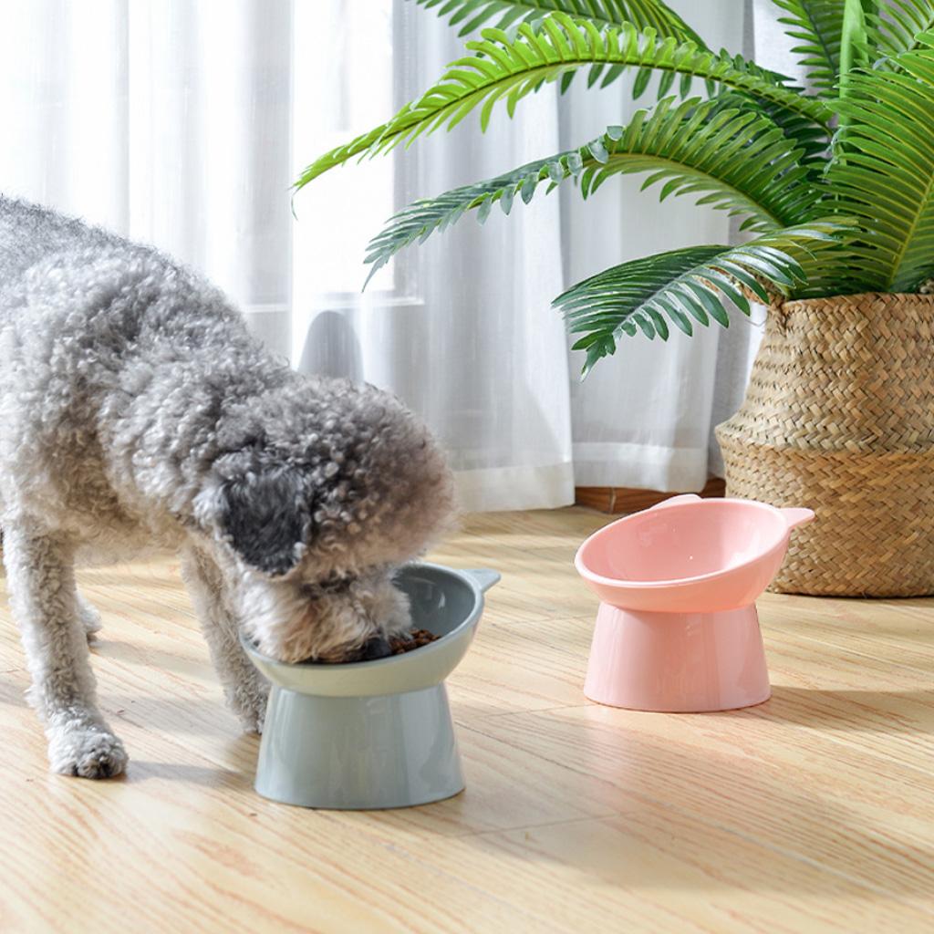 Raised Cats Bowls Small Dog 45° Tilted Dish with Stand Feeders for Dog Cats