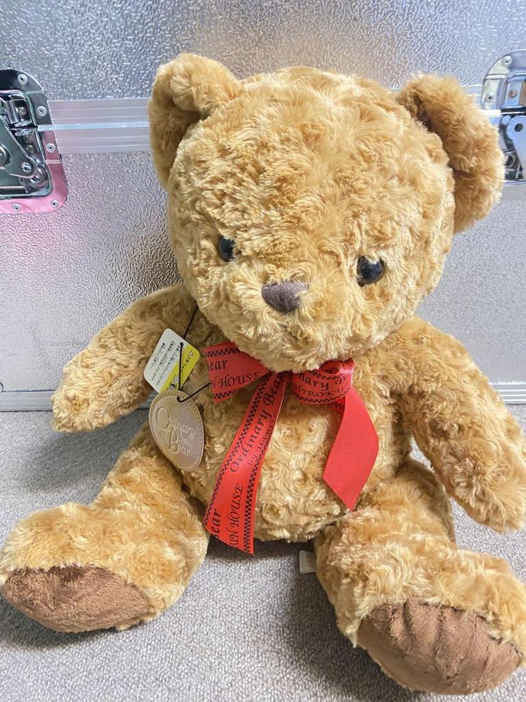 [USED] Limited Sale! Limited Stock! Large Teddy Bear, Fluffy and Cute