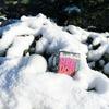 New Product NeeDoh Snow Ball Crunch Snow Ball Crunch Stress Relief Toy for Kids Gift