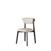 Italian Minimalist Dining Chair, Thickened Double-Layer Backrest Chair, High-Resilience Cushioned Seat with Soft Padding,
