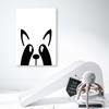 Canvas Print, Raccoon