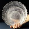 ZISIZ Gold-Rimmed Glass Serving Plate