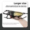 "Oversized Beetle Model Ornaments: Children's Animal Simulation Toys"