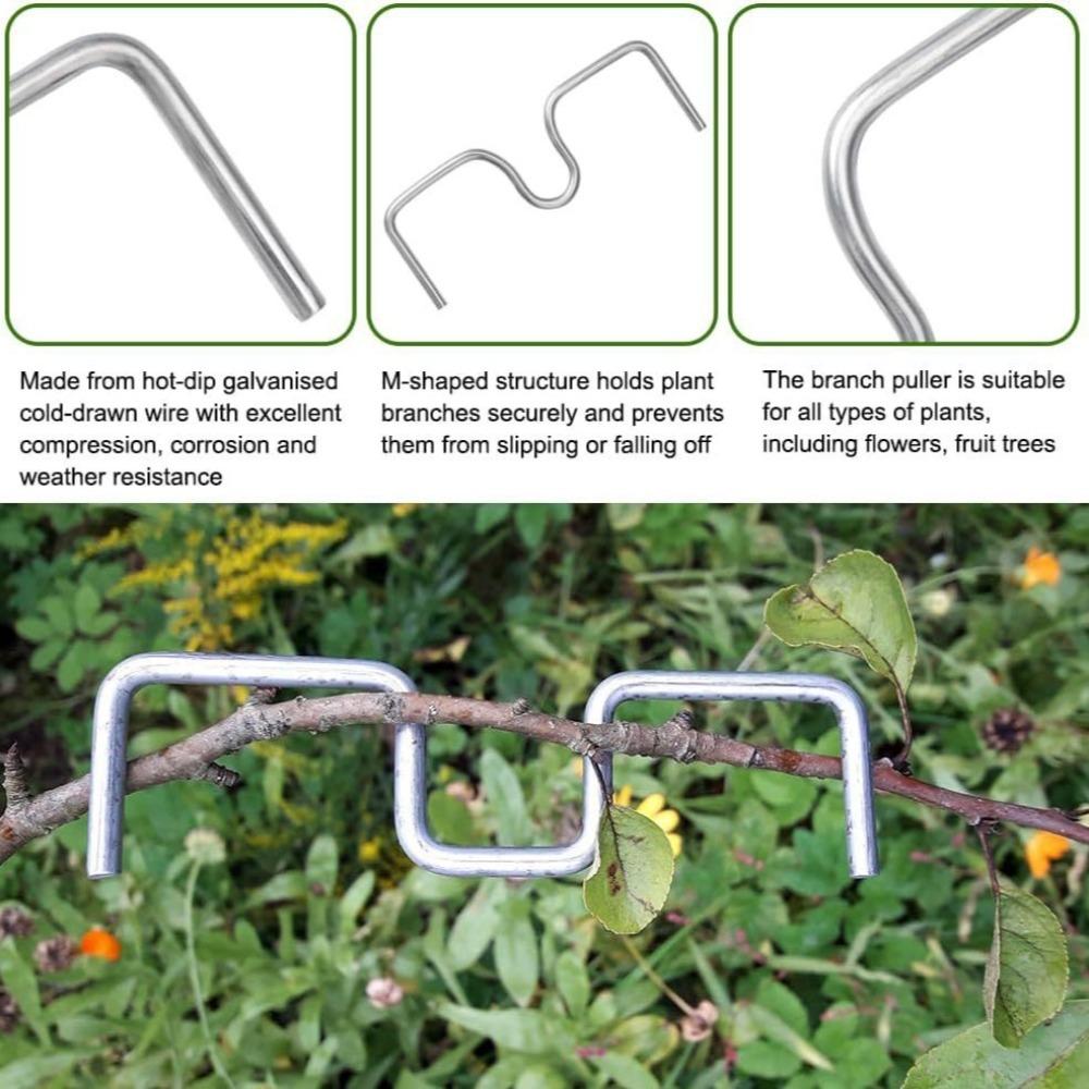 M-Type Fruit Tree Branch Bender, Branch Shaping Fixator for Upward Lateral Branches, Garden Fruit Tree Branch Pressing Training Tool
