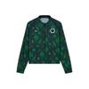 Nigeria National Team Football Jacket Women Jackets Seaweed-Green CU1411-364