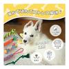 Petailo Dog Toy Rope, Set of 5, Sturdy Chew Toy, String [100% Natural Cotton] Pulling Kami Kami Toy, Brushing Teeth, Preventing Periodontal Disease,