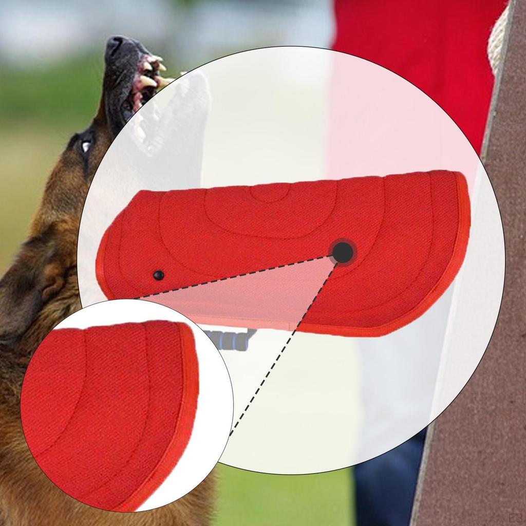 Sleeve for Training And Agility, Ideal Small, Medium Large Dogs.