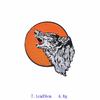 Animal Embroidery Patches for Clothes and Bags: Eagle and Monkey Designs