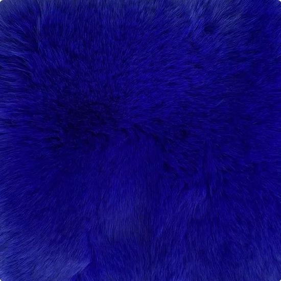 Manteau à manches longues pour femme en fausse fourrure de renard de style européen et américain