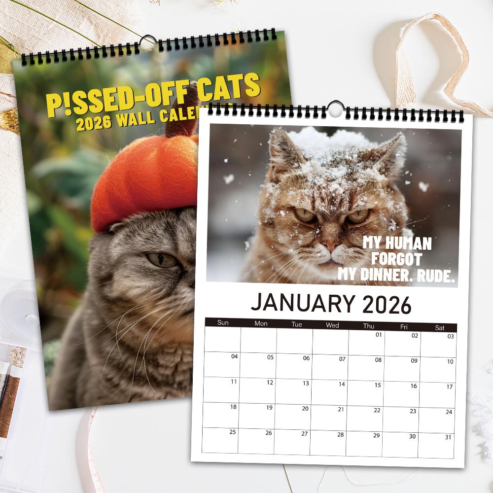 1pc 2026 Wall Calendar, Funny Cat Photo Calendar,  12 Months Monthly Plan, Perfect Gift for Birthday, Christmas and Cat Lovers