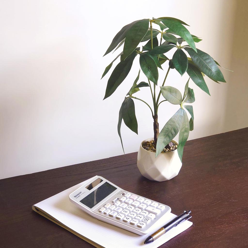 Ninian and Kino Faux Green Pachira In a 35cm Ceramic Artificial Plant with a Realistic No Maintenance Will Not Indoor Decorative Perfect for Living