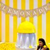 Baby Shower Backdrop Summer Hanging Lemon Bunting Garland Banner Party Decoration Flag Layout