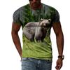 Funny Animal Bear 3D Printed Men T-shirt Summer Fashion Personality Casual O-neck Streetwear Hip Hop harajuku graphic t shirts