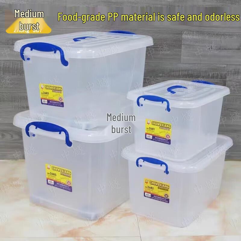 ZhongSui Transparent Plastic Storage Box with Lid