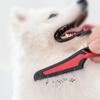 Haustierkamm, Haustier Doppelte Reihe Hund Flohkamm, Knotenöffner und Glattes Haar zum Entfernen von Läusen Kamm, Reinigungsbürste, Katzenkamm