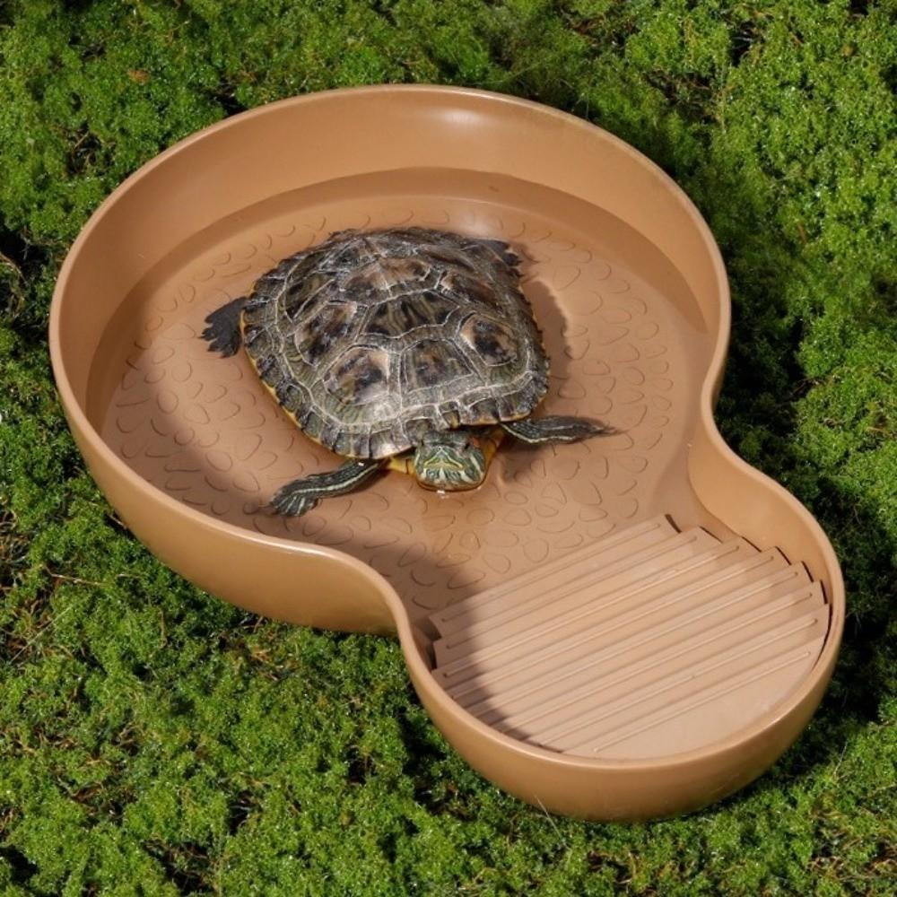 Non-Slip Reptile Bathing Pool With Ramp Turtle Pond Landscaping Amphibians Water Bowl  Pet Habitat
