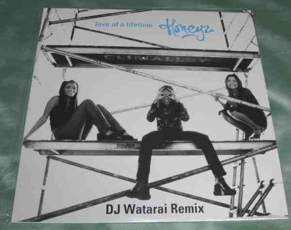 

12-дюймовая пластинка HONEYZ - Любовь всей жизни (DJ Watarai Remi MR092 Mercury 1999 Япония Танцевальная и Электронная Музыка