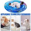 Water Sensory Play Mat Inflatable Water Mat For Cat And Dog Pet Playmat With Fish Sea Theme Kitten Water Sensory Pad
