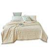 Coral Velvet Autumn Winter Blanket Sofa Air Conditioning Single Double Soft Flannel Fleece Blankets for Warm Sleeping Quilt