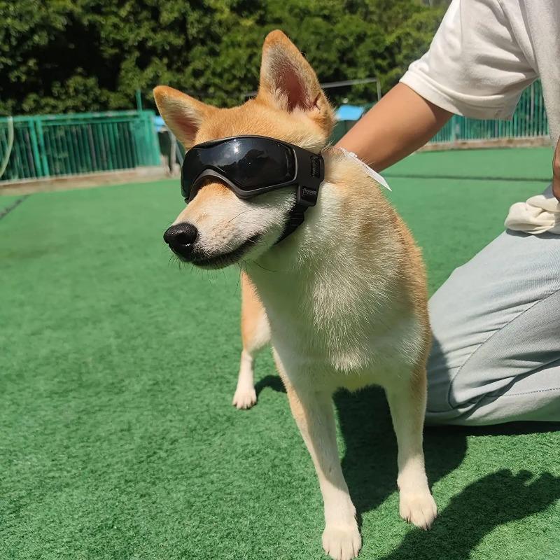 Evcil Hayvan Aksesuarları Köpek Açık Hava UV Korumalı Güneş Gözlüğü Kedi Köpek Gözlükleri Küçük Orta Irk Yavru Köpek Gözlükleri Ayarlanabilir Kayışlar