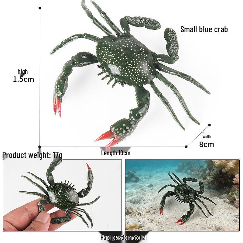 Ocean Crab Simulation Toy Set: Includes Hermit, Swimming, and Three-Spot Plastic Models