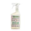 Vinegar Gel Cleaning Spray No Rinse Formula Plant Derived Bathroom Cleaner Streak Free Apple Blossom Scent 16 Fl Oz