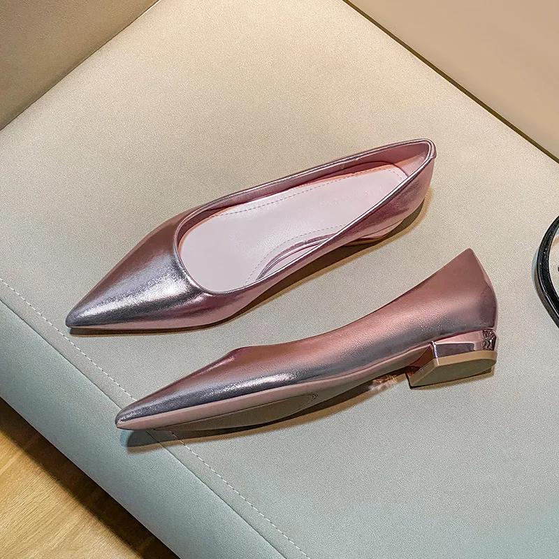 Fashion Silver Pointed Toe Thick Heel Women's Pumps Spring Autumn New Shallow Mouth Temperament Retro Commuter Low Heel Single Shoes