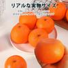 HIRAISM Food Sample Orange Fruit Fruit Fake Real Display Model Toy Set of 8 Look-alike
