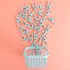 30Pcs/Pack Clothes Drying Clip Balcony Windproof Strong Drying Clips Outdoor Drying Underwear Socks Scarf Fixing Clip