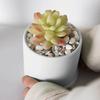 Ghiveci de flori Interior Exterior Argilă Ghiveci de plante Rezistent la UV Rezistent la crăpare Ghiveci mare pentru plante verzi Decor pentru casă și grădină