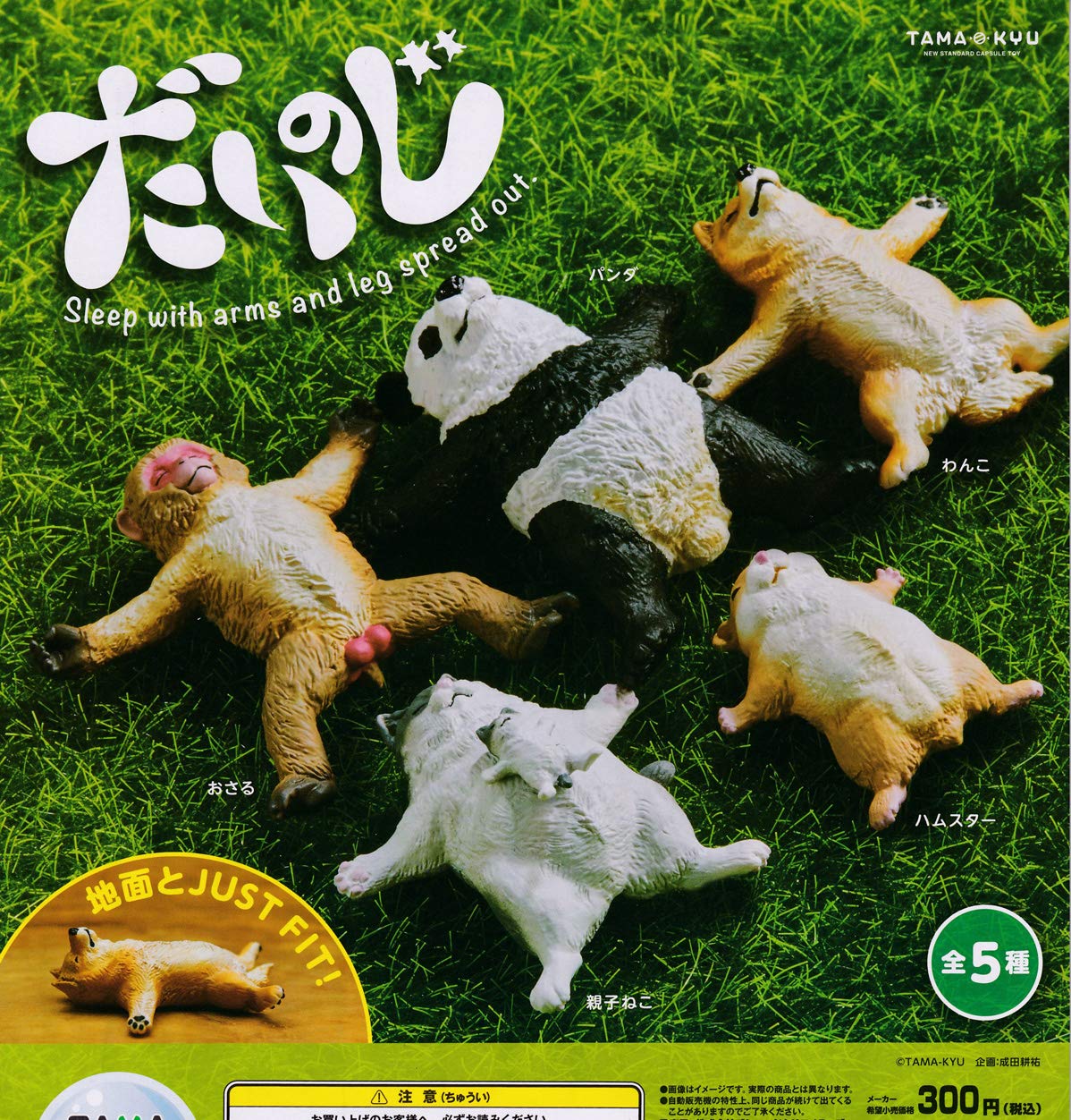 

Dainoji of 5 TAMA-KYU [Set (Full Set)]