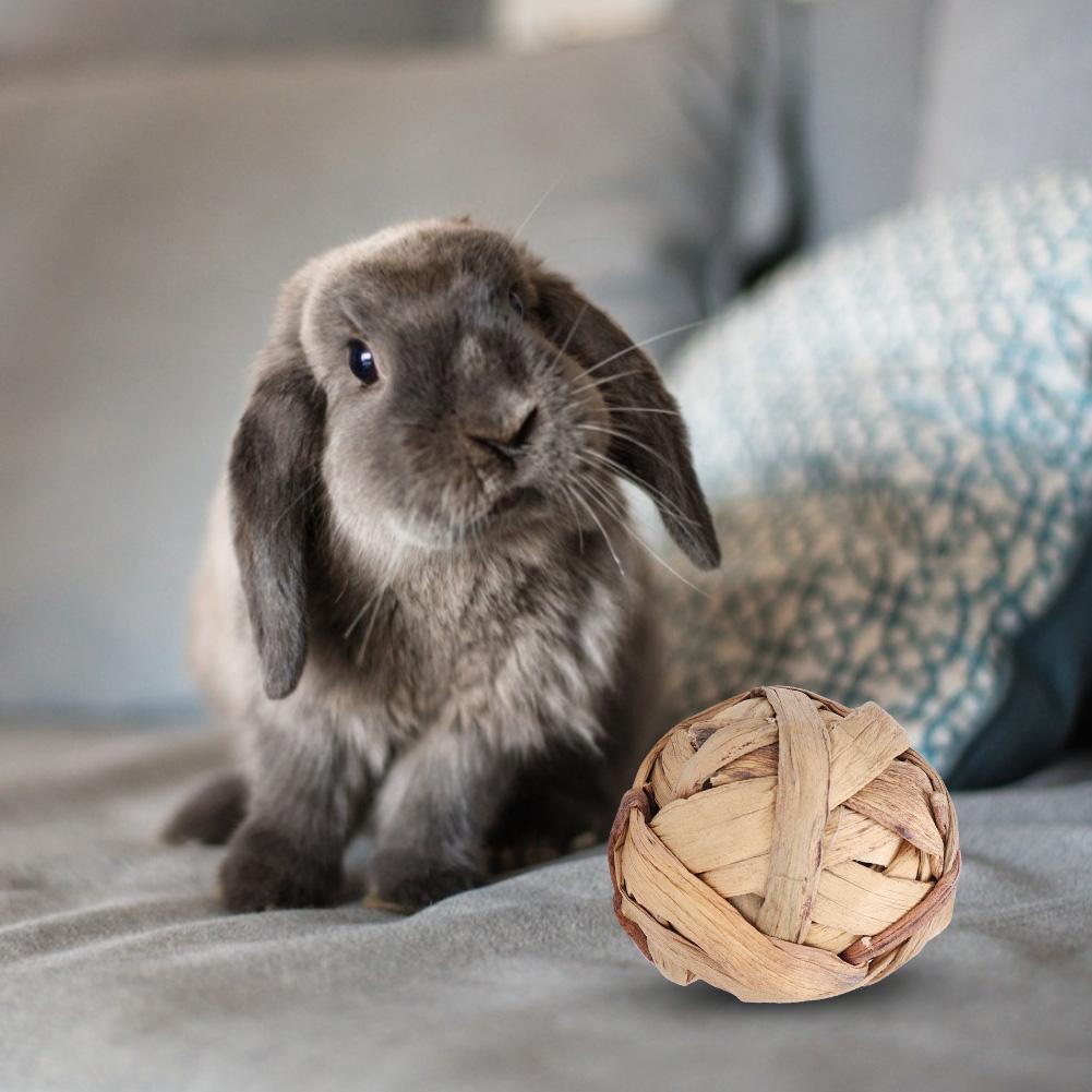 4PCS  Pack Bird Parrot Chew Toy Rabbit Bunny Teething Treats Small Animal Grass Ball Sepak Takraw ToysSepak Takraw