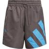 ANTHONY EDWARDS Basketball Shorts Men's Charcoal Gray IW8052